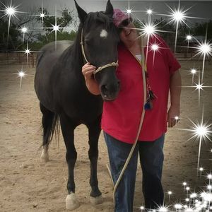 Meet your Posher, Debbie